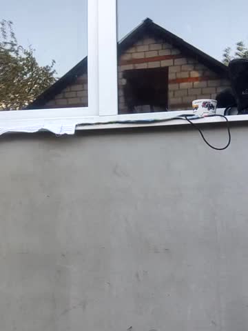 Niht_Angels Adult Chat August 14, 2025