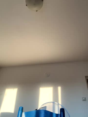 SakuPandora Adult Chat August 14, 2025