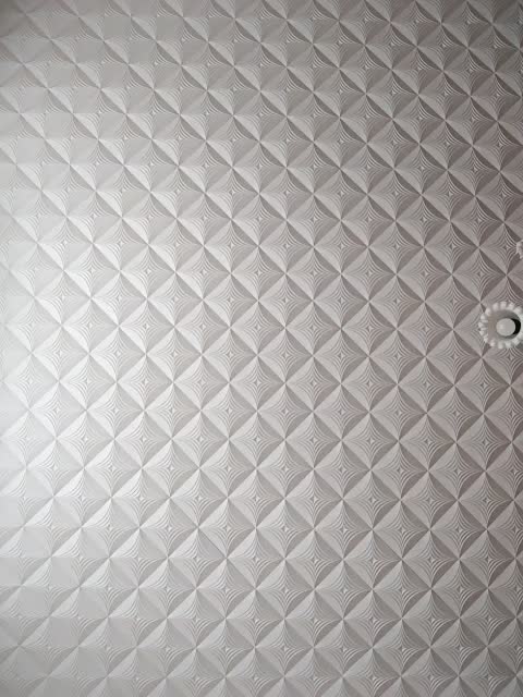 MissieLorrie Adult Chat August 14, 2025