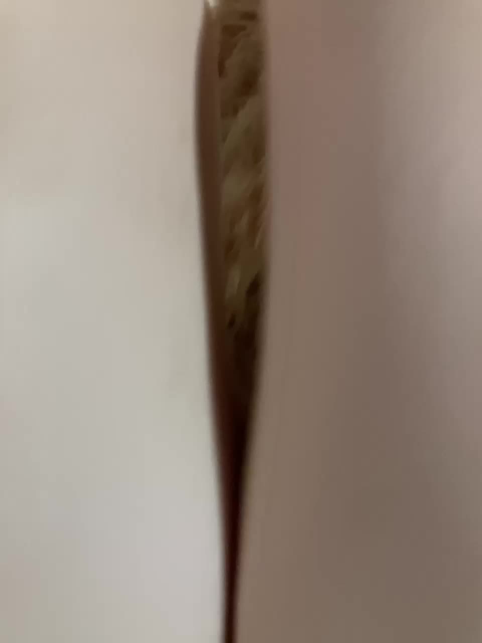 Vikiwww Adult Chat August 14, 2025