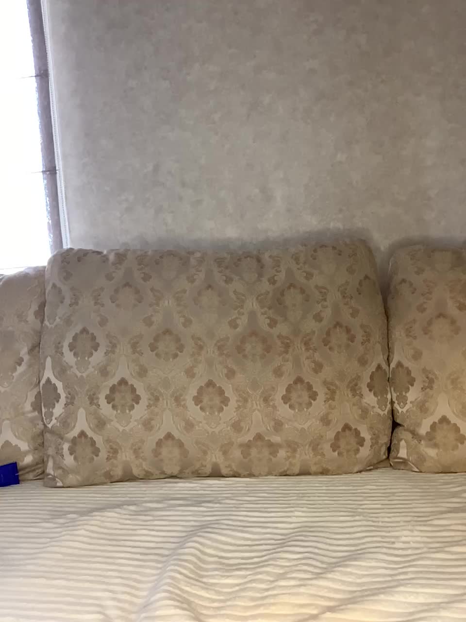 -ALLSAINT- Adult Chat August 14, 2025