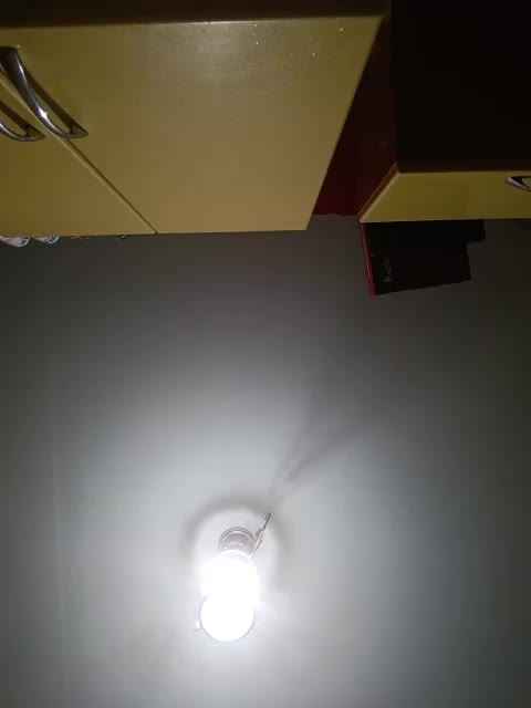 Xo4y-SeXa Adult Chat August 14, 2025