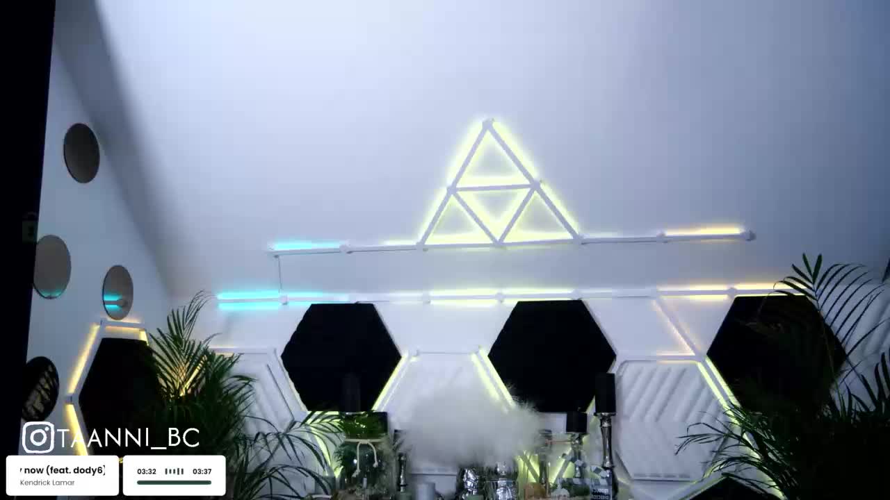 Taanni Adult Chat August 14, 2025