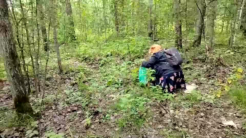 siberiataiga Adult Chat August 14, 2025