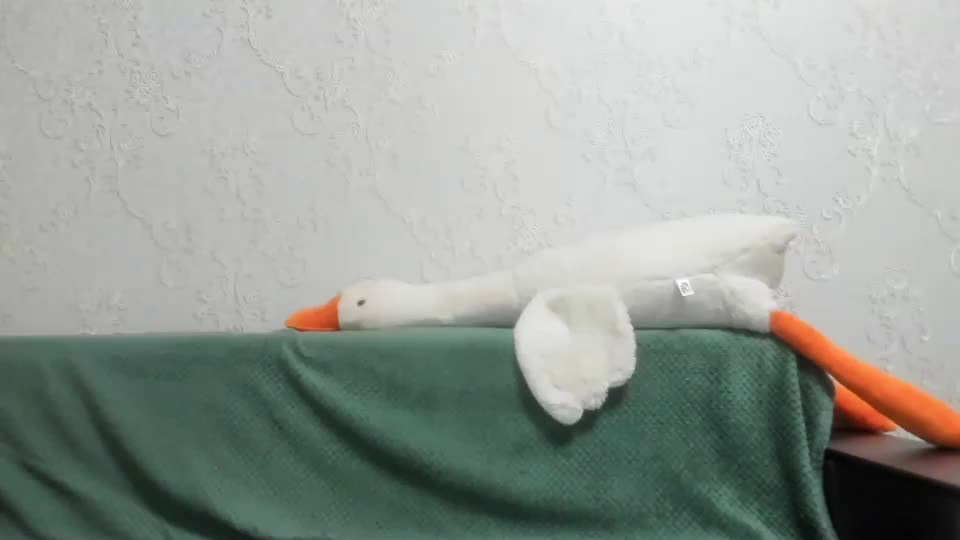 jessicagoold Adult Chat August 14, 2025