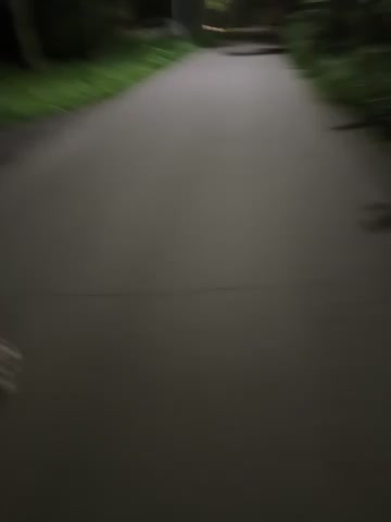 Oksiandfray Adult Chat August 14, 2025