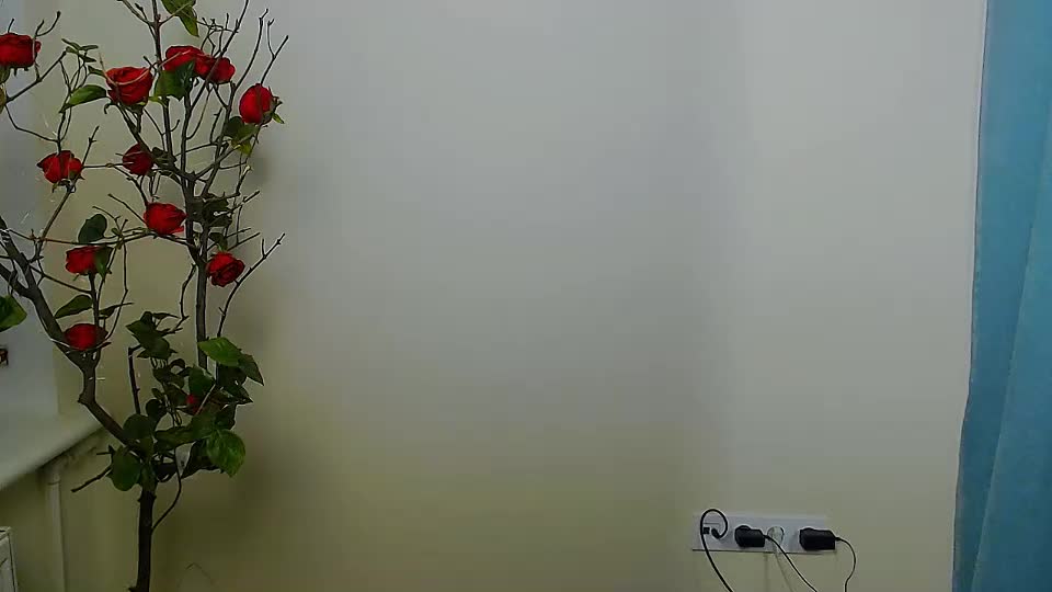 bunnybloom_ Adult Chat August 14, 2025