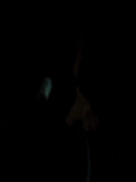 TilyTily Adult Chat August 14, 2025