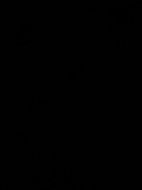 Fuffocka Adult Chat August 14, 2025