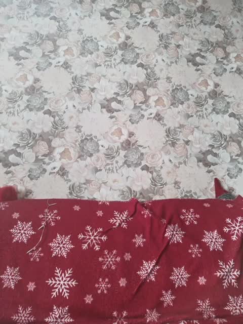 ---kisa25_ Adult Chat August 14, 2025