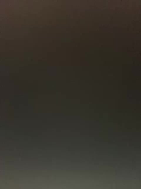 -Jolly- Adult Chat August 14, 2025