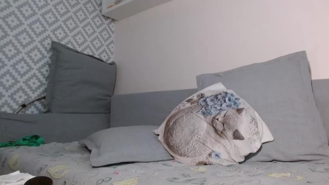 albinochka888 Adult Chat August 15, 2025