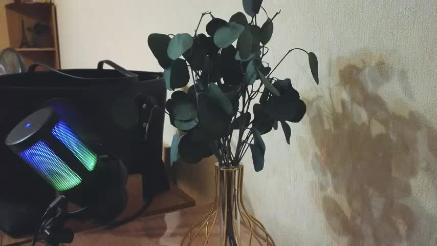 me_lissa_sun13 Adult Chat August 15, 2025