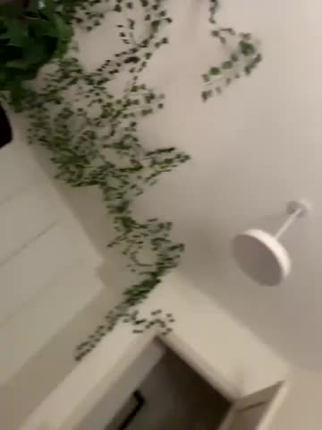 _SweetCandyy Adult Chat August 15, 2025