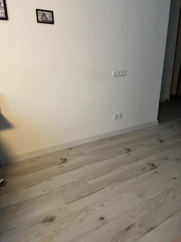 GlamModelHoney Adult Chat August 15, 2025