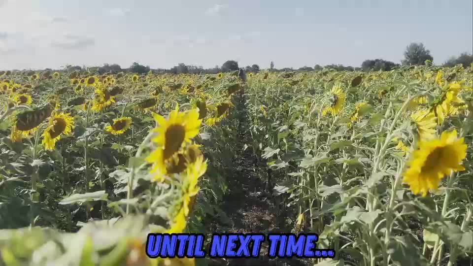 sunflower0907 Adult Chat August 14, 2025