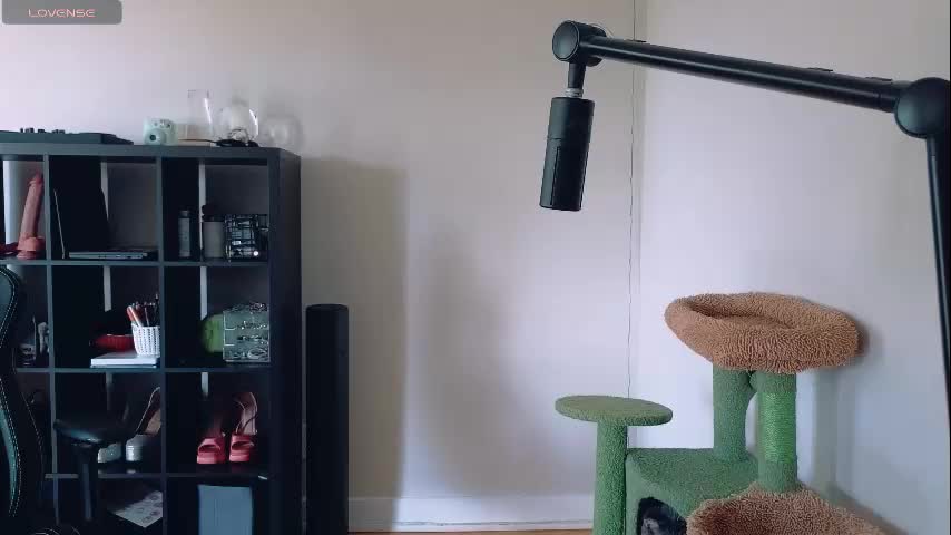 alexa_dream Adult Chat August 15, 2025