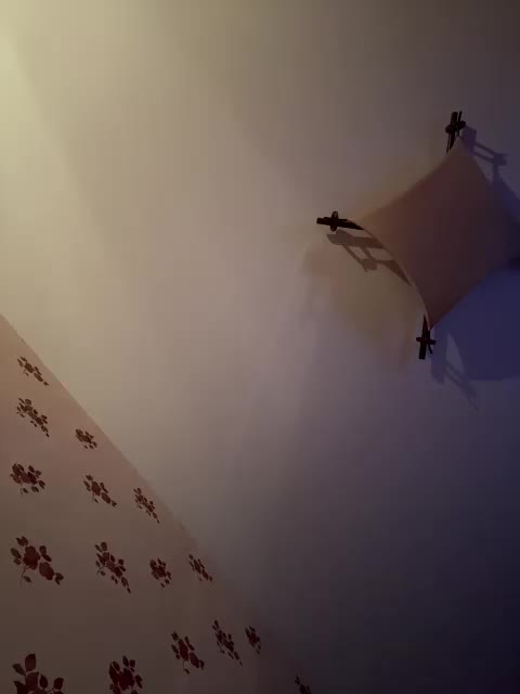 Rinaaamur Adult Chat August 15, 2025