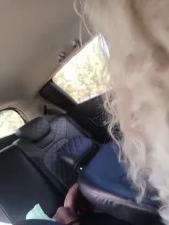 _AMBASSADOR_ Adult Chat August 15, 2025