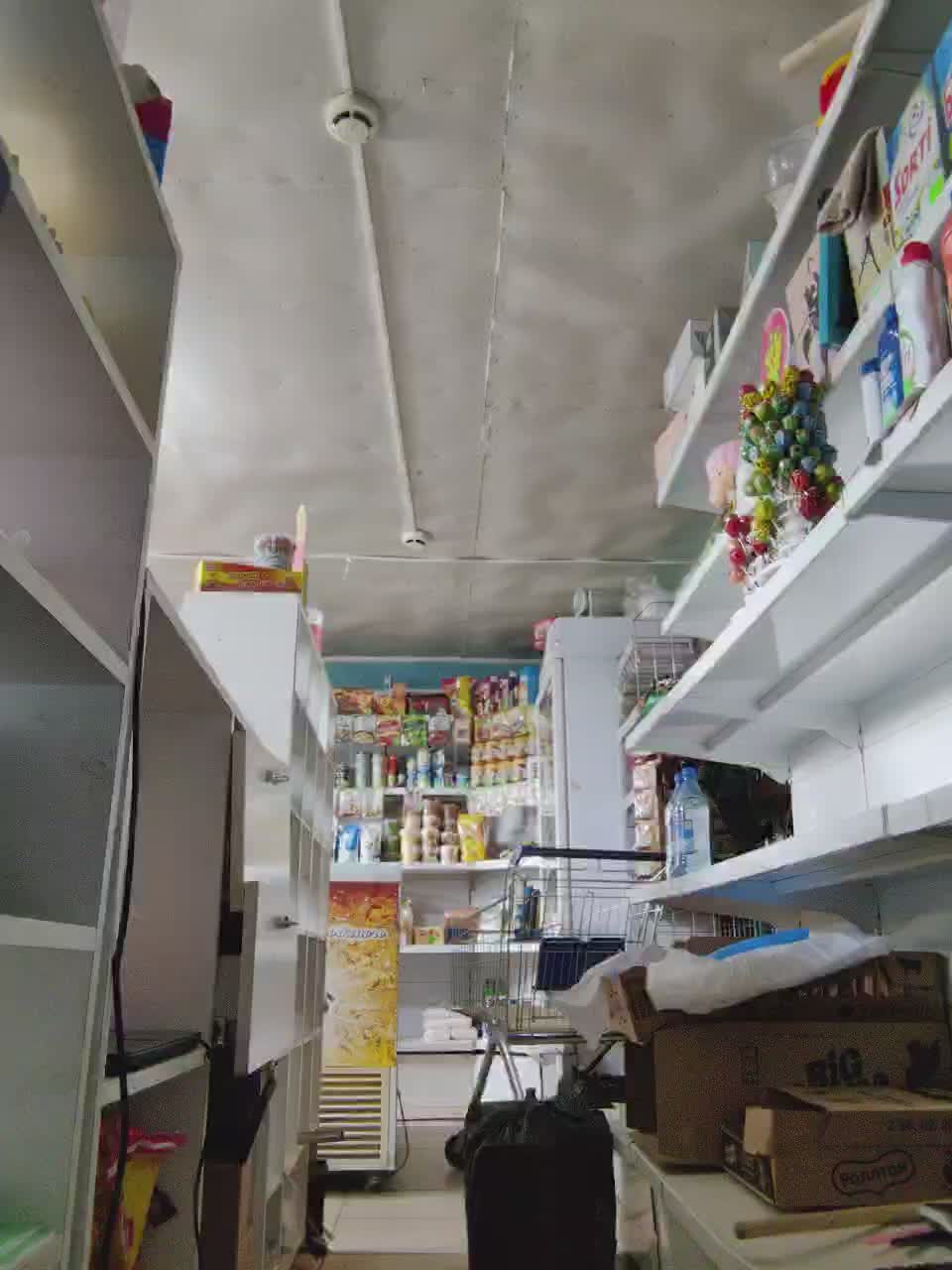 MyLittlegi Adult Chat August 15, 2025