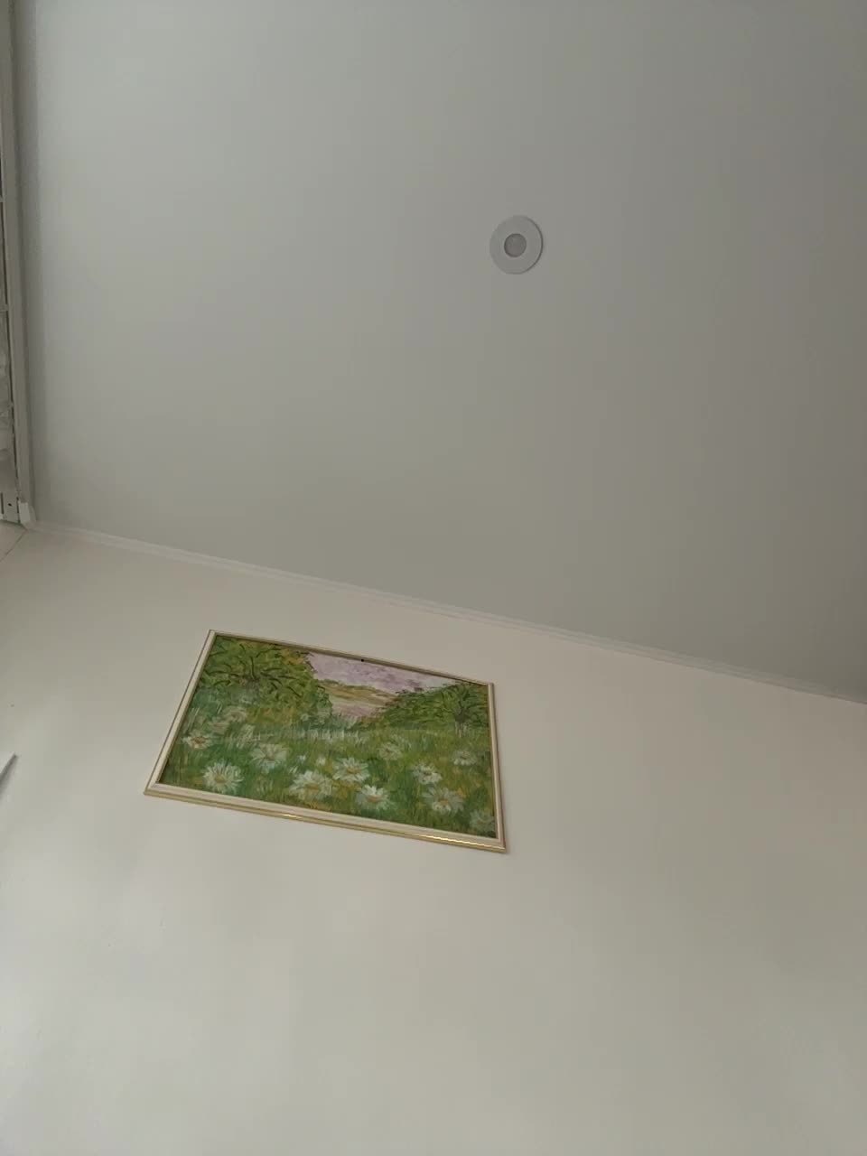 pizzahott Adult Chat August 15, 2025