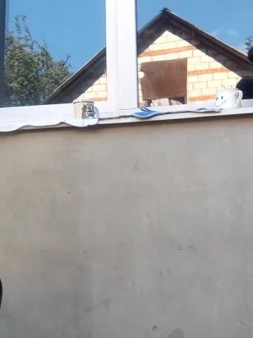 Niht_Angels Adult Chat August 15, 2025