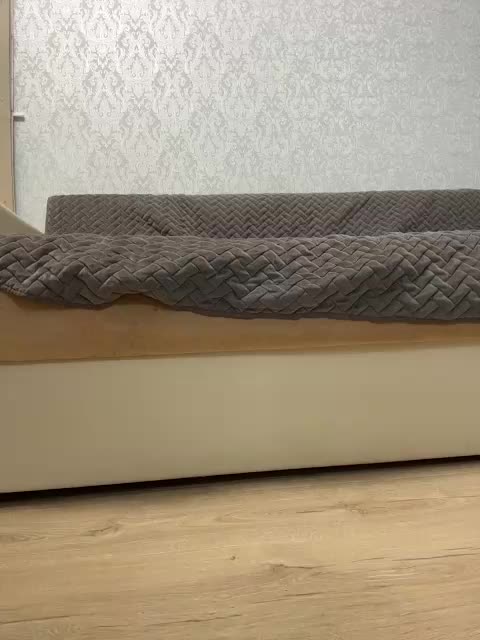 KitFox Adult Chat August 16, 2025