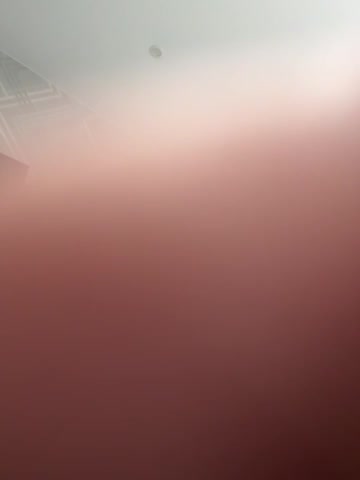 Oksiandfray Adult Chat August 16, 2025