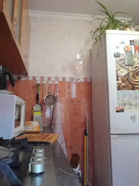 N-I-M-F-O-M-A-N-K-A Adult Chat August 16, 2025