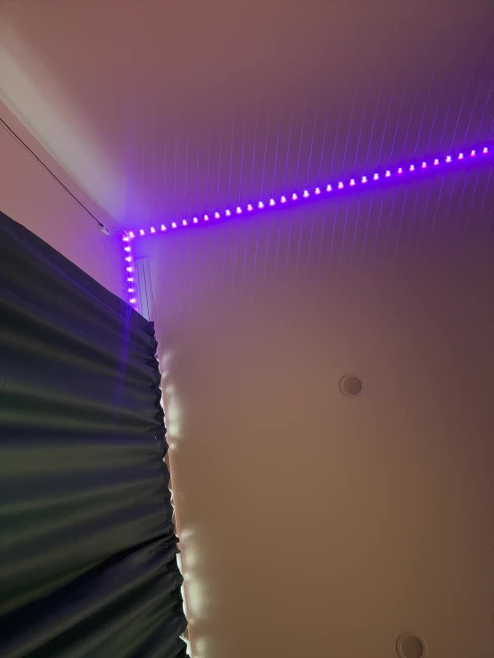 VULGARITY Adult Chat August 16, 2025