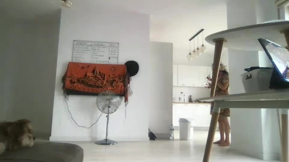 drresa Adult Chat August 15, 2025