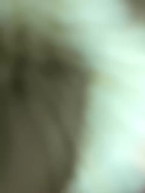 Ketadeksa Adult Chat August 16, 2025