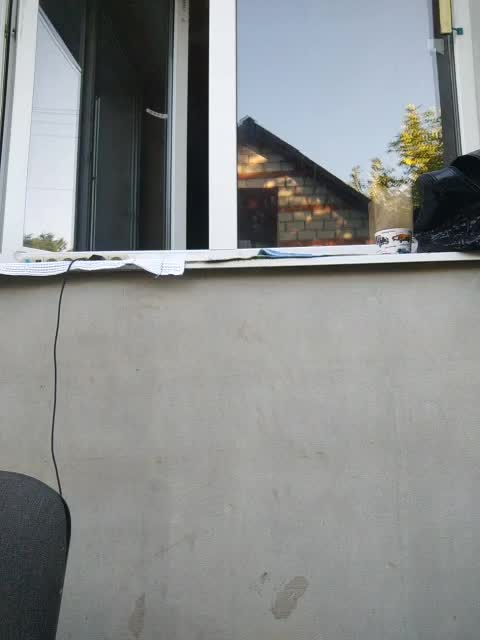 AHAHAC_HAXPEH_B_yHuTa3 Adult Chat August 16, 2025