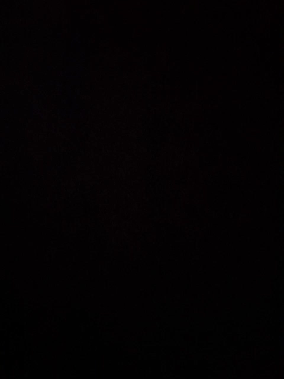 Vikiwww Adult Chat August 17, 2025