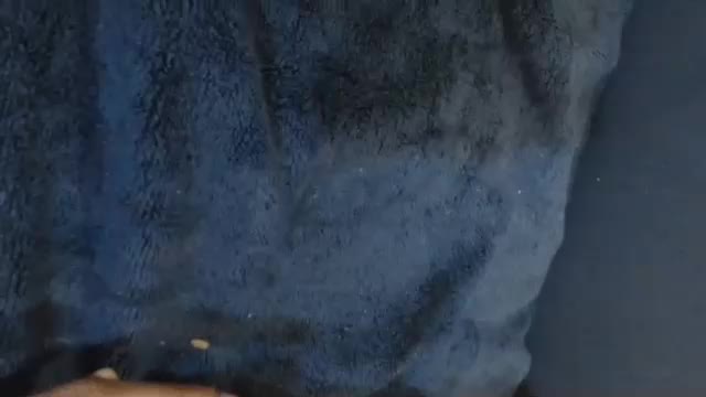 buddiup2 Adult Chat August 15, 2025