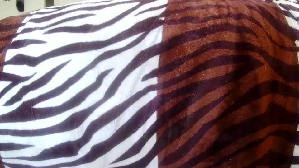 xbigtymerx Adult Chat August 16, 2025