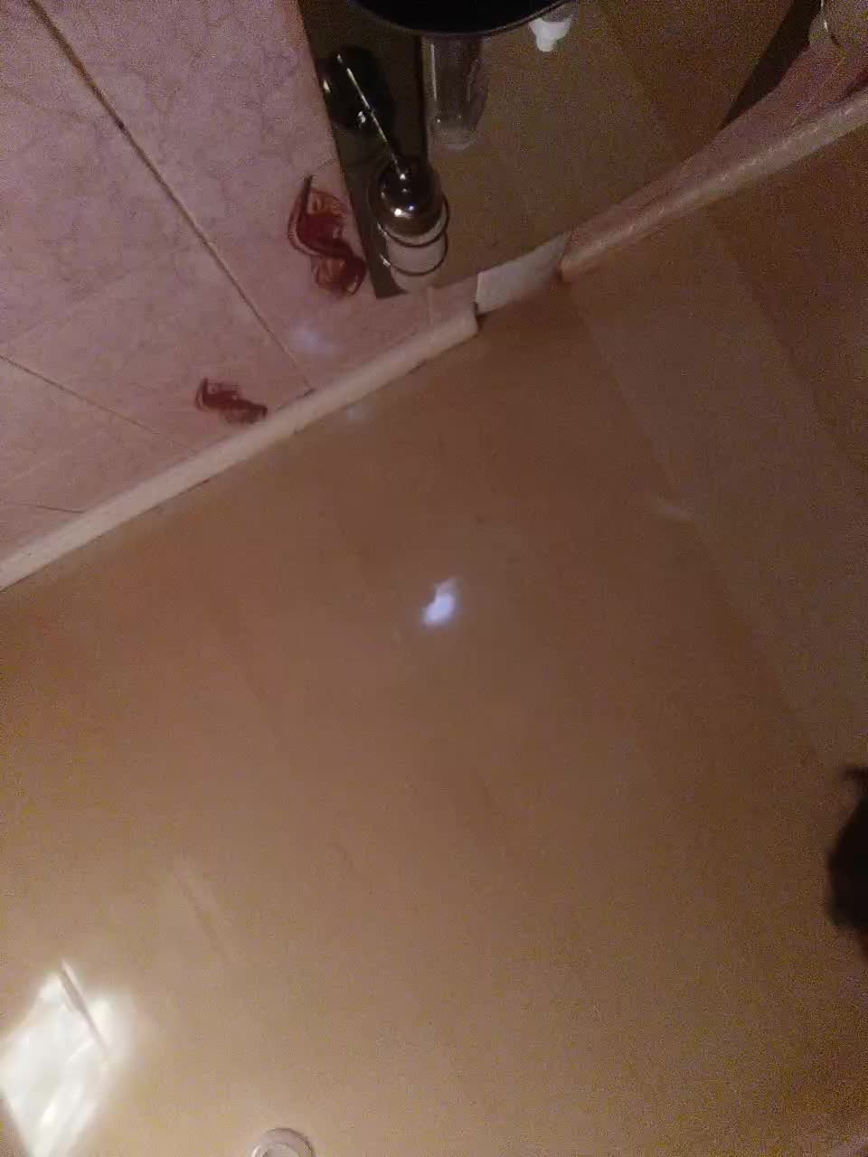 Maluska-Lapyla Adult Chat August 17, 2025