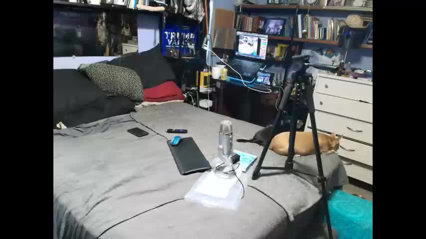 pink_black Adult Chat August 17, 2025