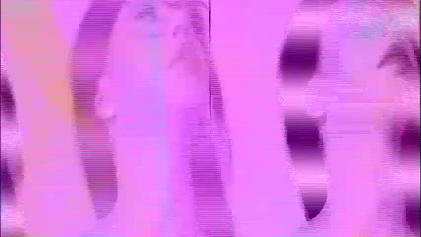 sierra_halle Adult Chat August 17, 2025