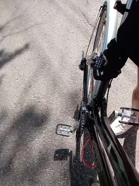 GolayaPravda Adult Chat August 17, 2025