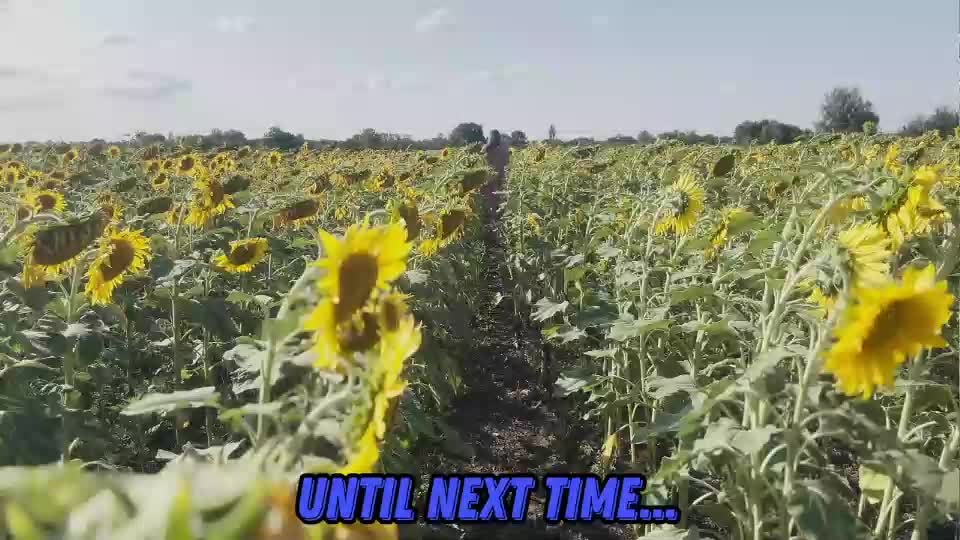 sunflower0907 Adult Chat August 17, 2025