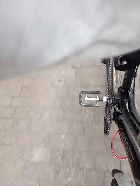 GolayaPravda Adult Chat August 17, 2025