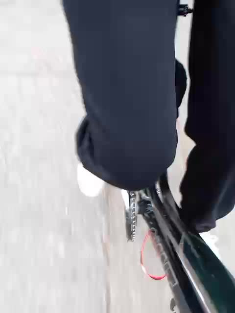 GolayaPravda Adult Chat August 18, 2025