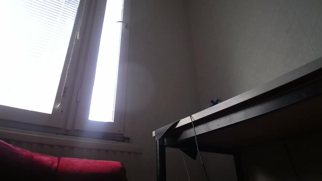 IrinaLitvinova Adult Chat August 18, 2025