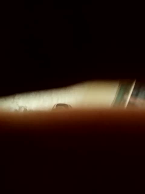 Fuffocka Adult Chat August 18, 2025