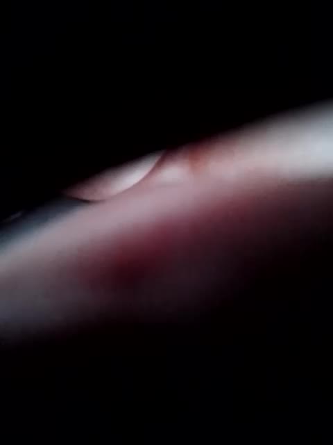 Fuffocka Adult Chat August 18, 2025