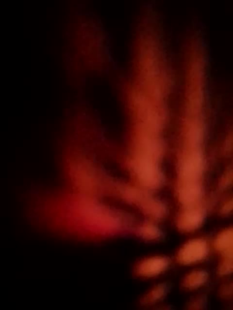 Fuffocka Adult Chat August 18, 2025