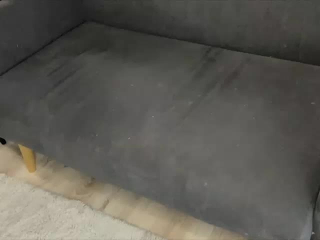 Tom-and-Jenny Adult Chat August 17, 2025