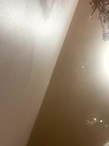 Flossy_Vettie Adult Chat August 18, 2025