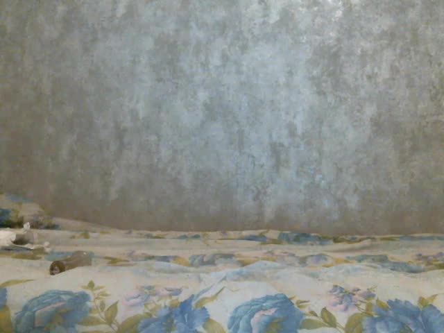 zaykazzz111 Adult Chat August 18, 2025